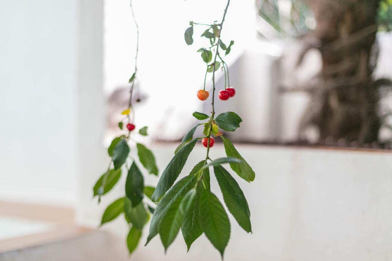 Fragrant Garden Apartment Lisboa Extérieur photo