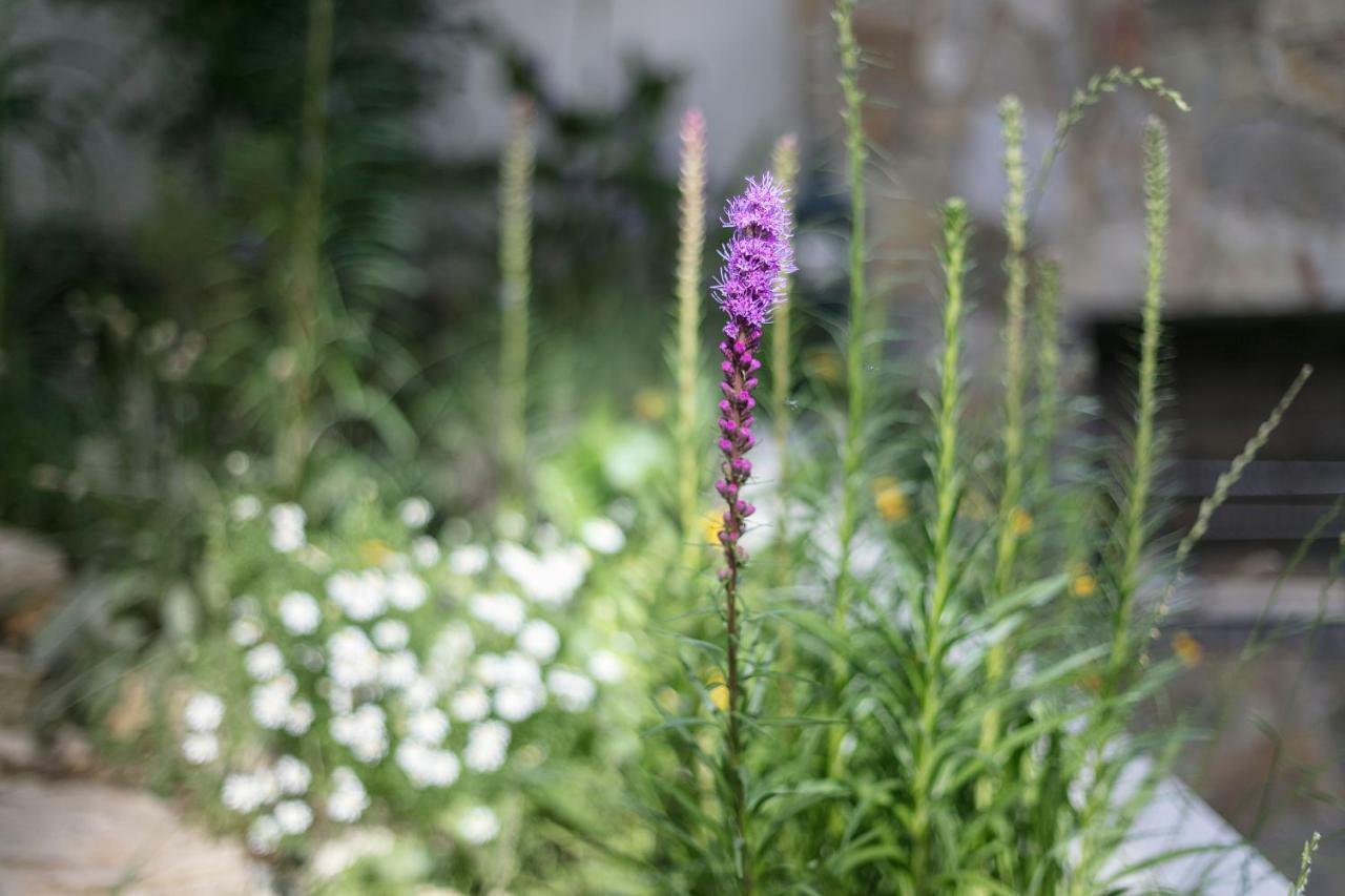 Fragrant Garden Apartment Lisboa Extérieur photo